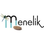 logo Menelik